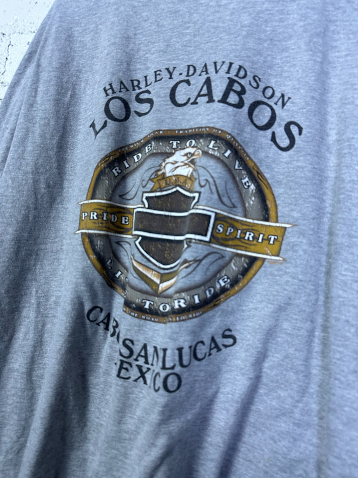 (3XL) Harley Davidson T-shirt