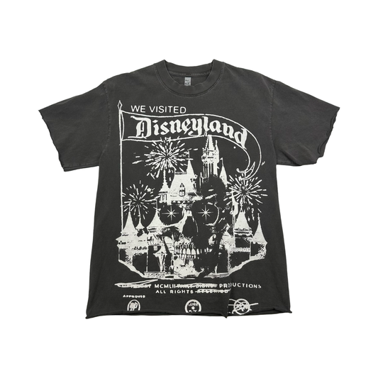 (S) we visited Disneyland cropped T-shirt